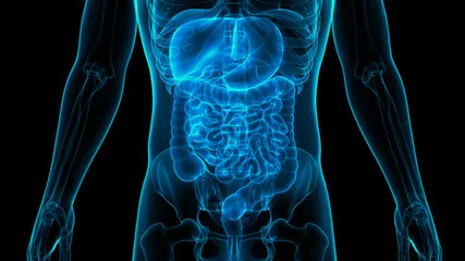 Gastroenterology